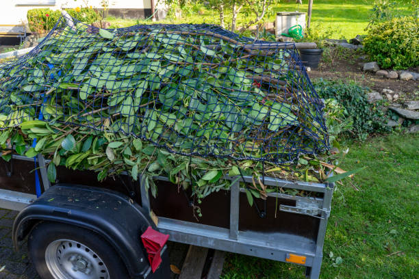 Best Yard Waste Removal  in Pantego, TX